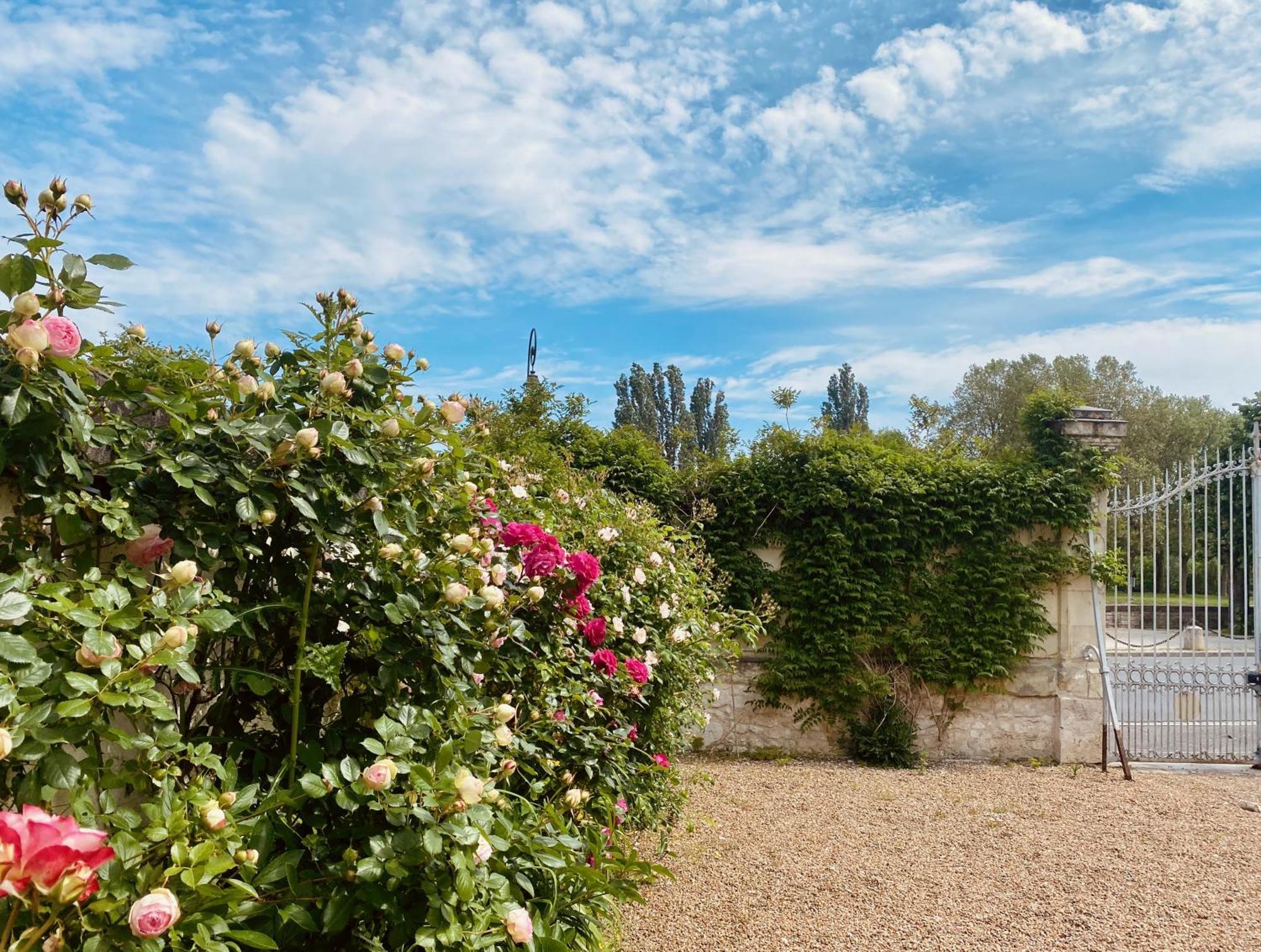 Maison Adrienne Saint-Aignan  Kültér fotó